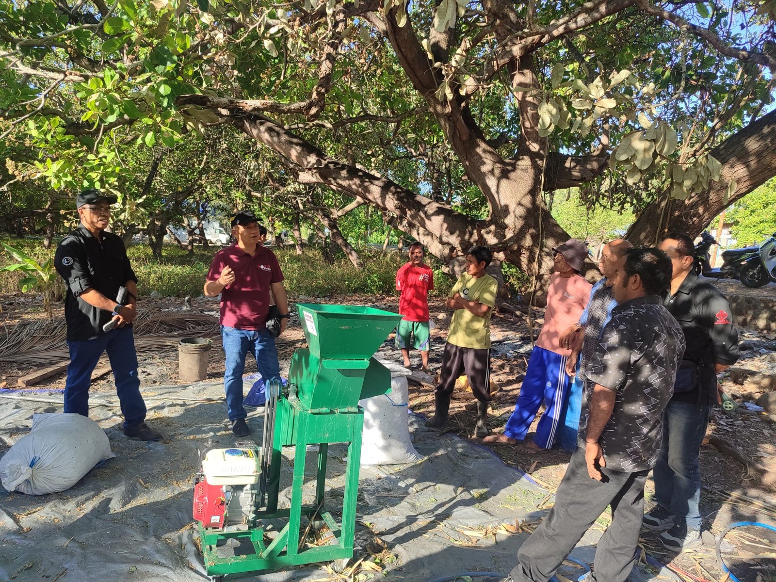 Monitoring Harvest Program - Paroki Waiwadan (Minggu, 2/8/2026)